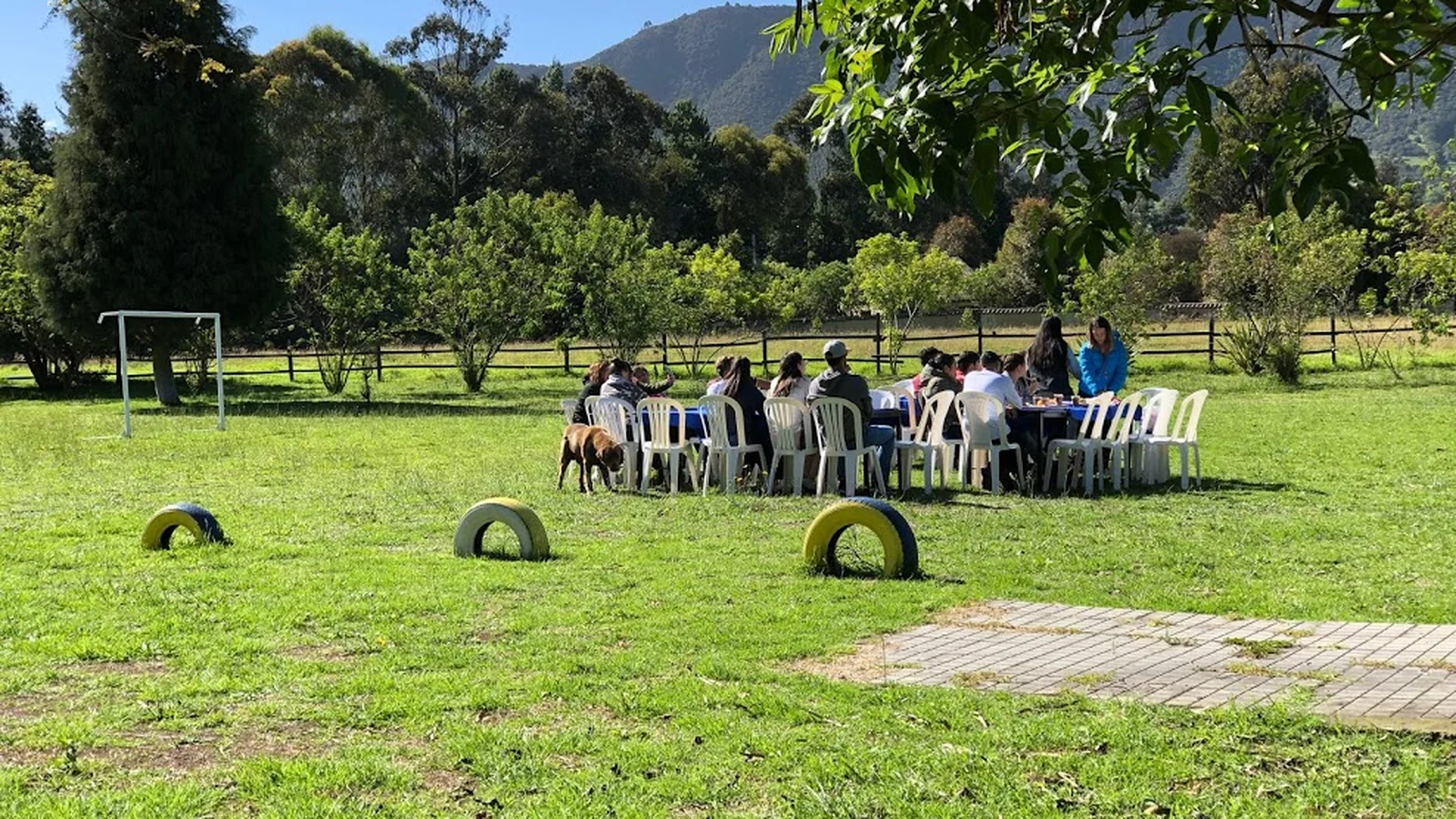 Actividad de El Plan Original con Fundación Michin