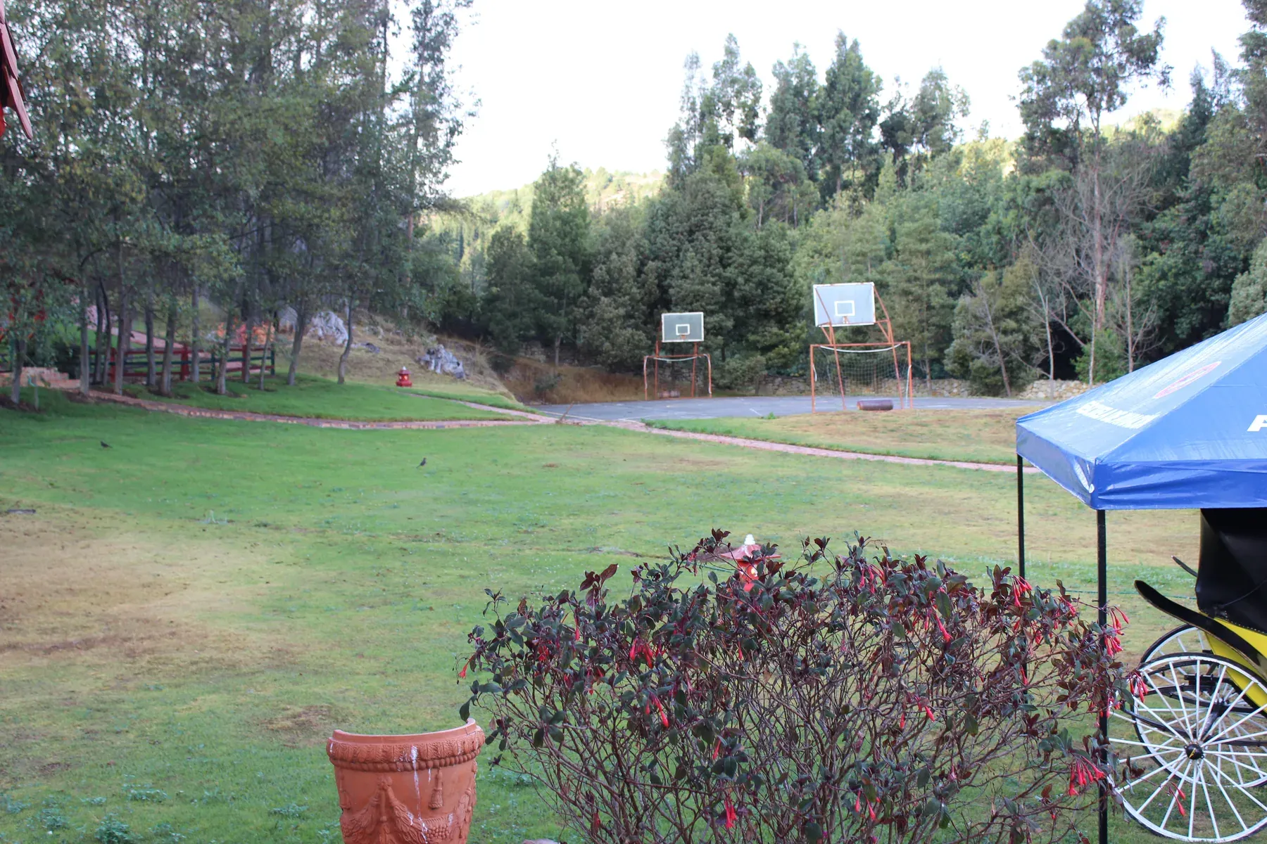 La Resolución 2013